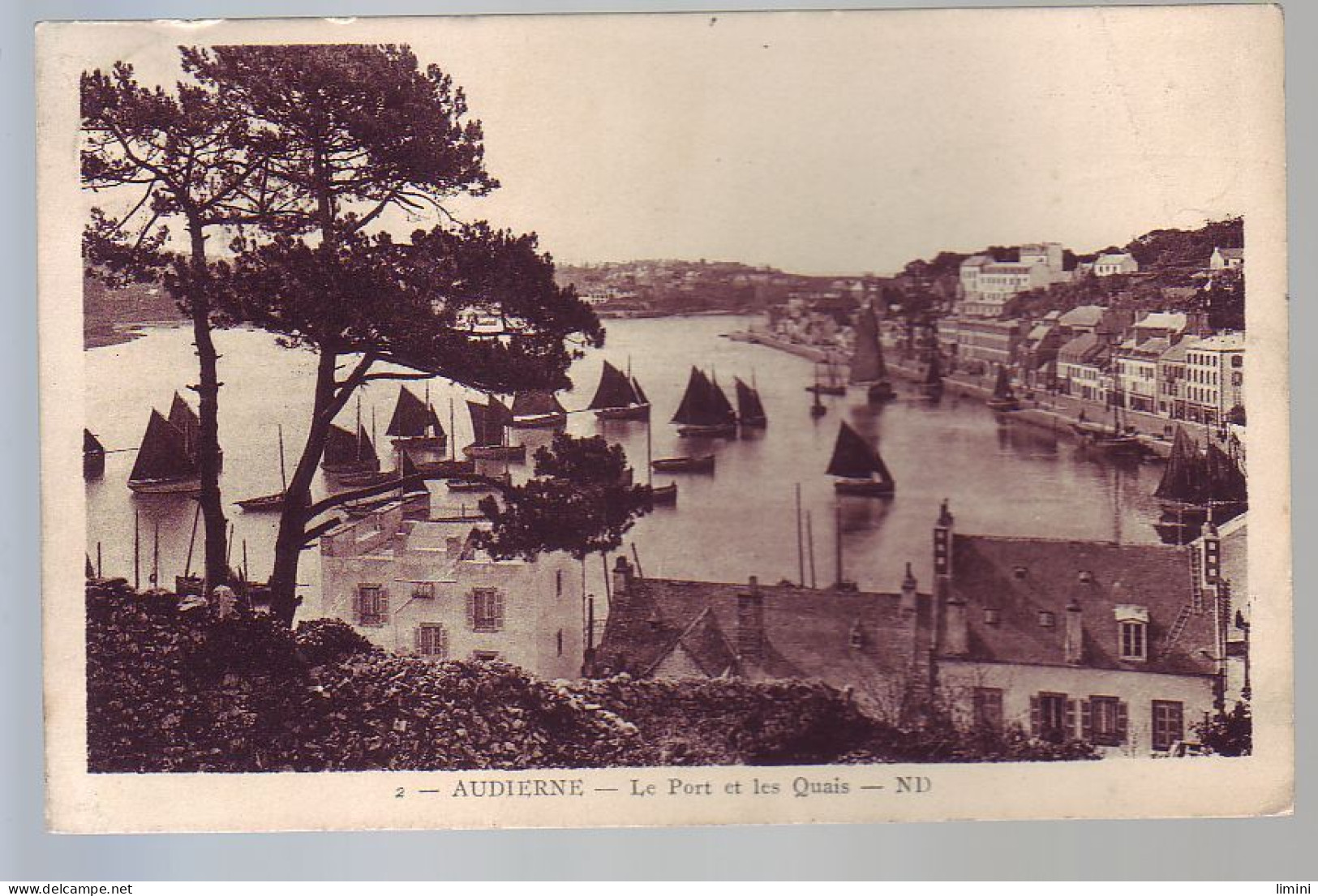 29 - AUDIERNE - LE PORT ET LES QUAIS  - - Audierne