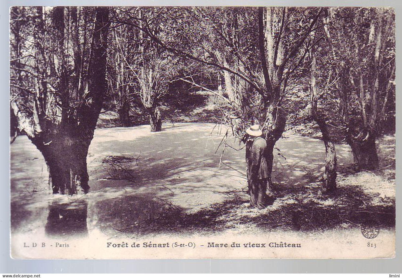 91 - FORET De SENART - MARE Du VIEUX CHATEAU - ANIMÉE - - Sénart