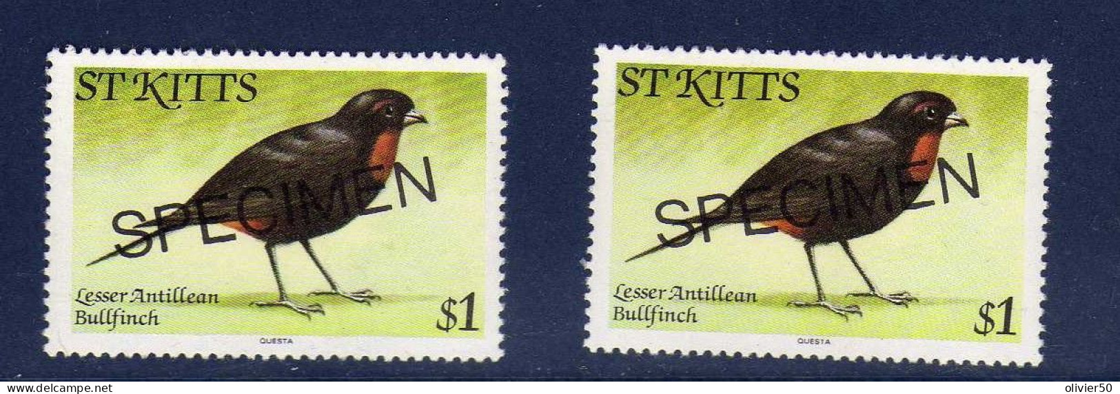 Saint-Christophe -   1 D. Faune - Oiseau - SPECIMEN   Neufs** - MNH - St.Kitts Und Nevis ( 1983-...)