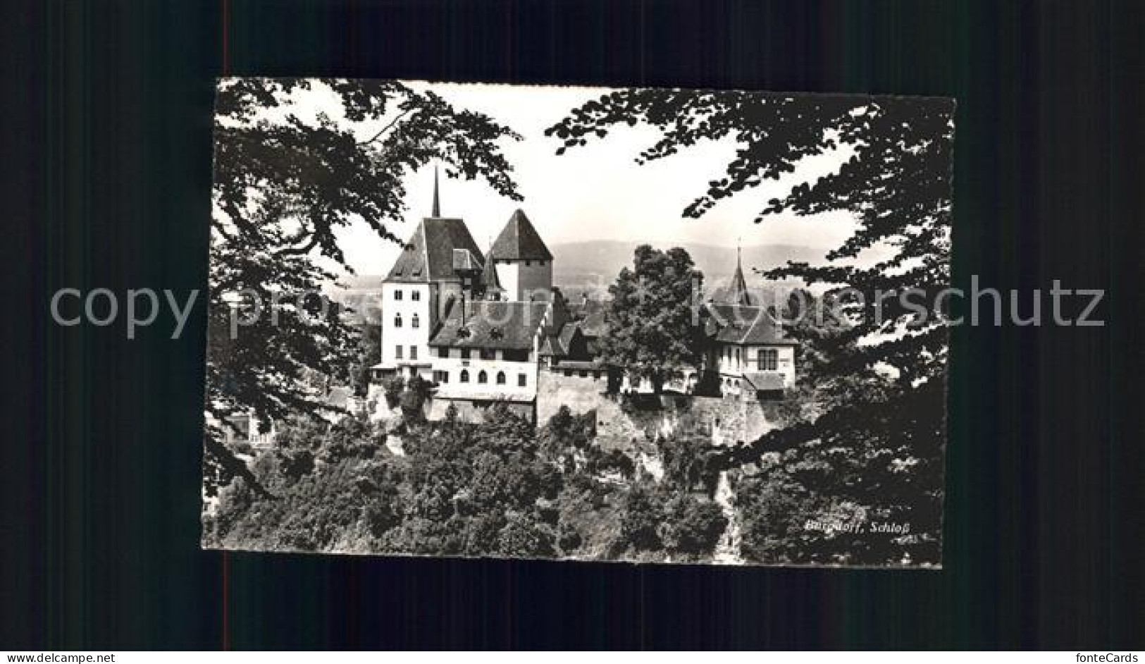 11673012 Burgdorf Bern Schloss Burgdorf - Autres & Non Classés