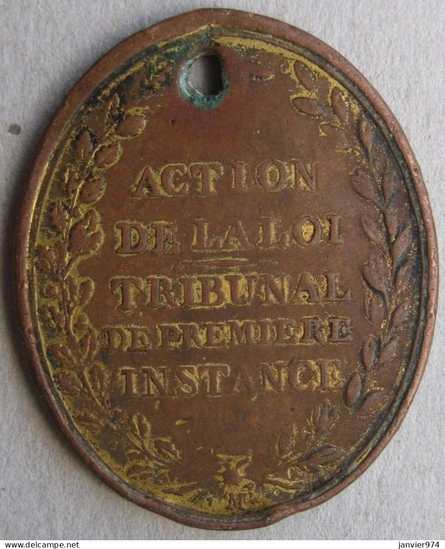 Justice Et Loi ,  Médaille De 1793 , Huissier Au Tribunal De Première Instance, Action De La Loi, Par Maurisset - Professionnels / De Société