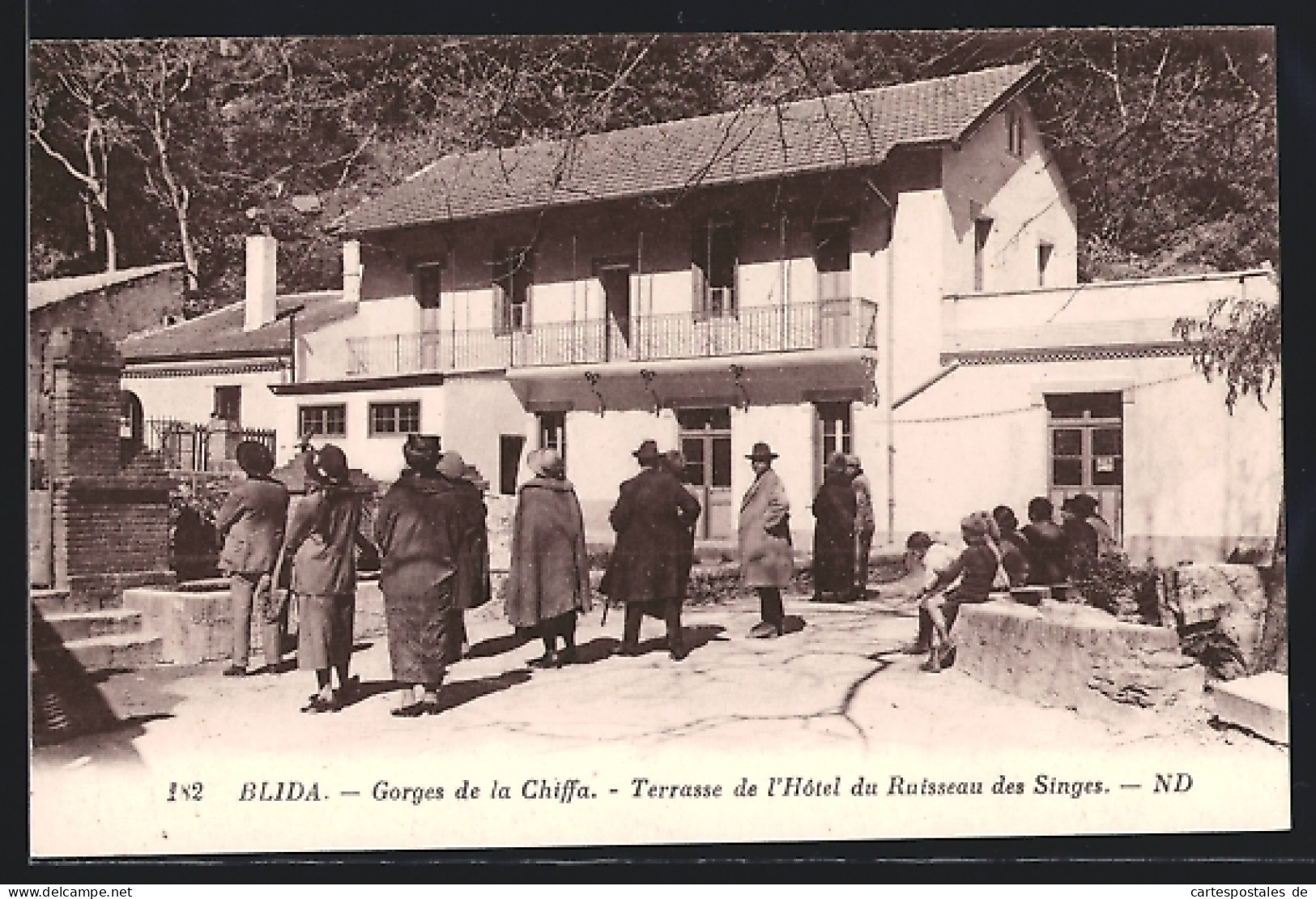 CPA Blida, Gorges De La Chiffa, Terrasse De L`Hotel Du Ruisseau Des Singes  - Blida