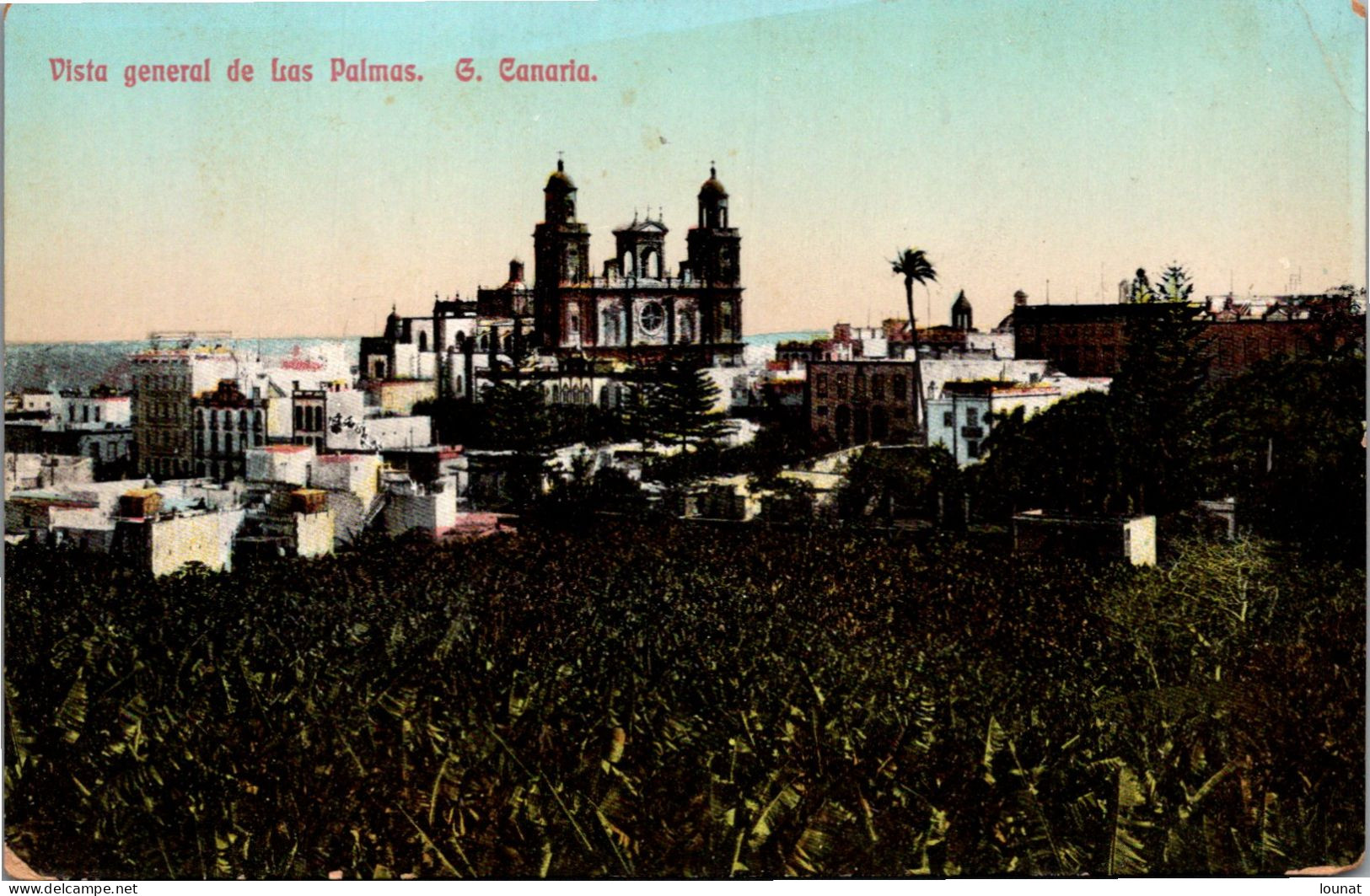 Vista General De Las Palmas. G. Canaria. - La Palma