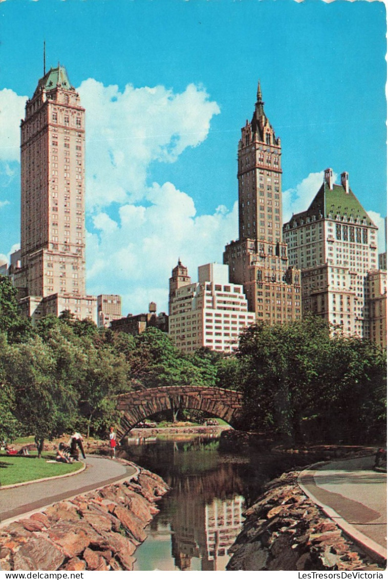 ETATS-UNIS - Central Park - New York City - A Winding Brook And Picuresque Bridge In Central Park - Animé- Carte Postale - Central Park