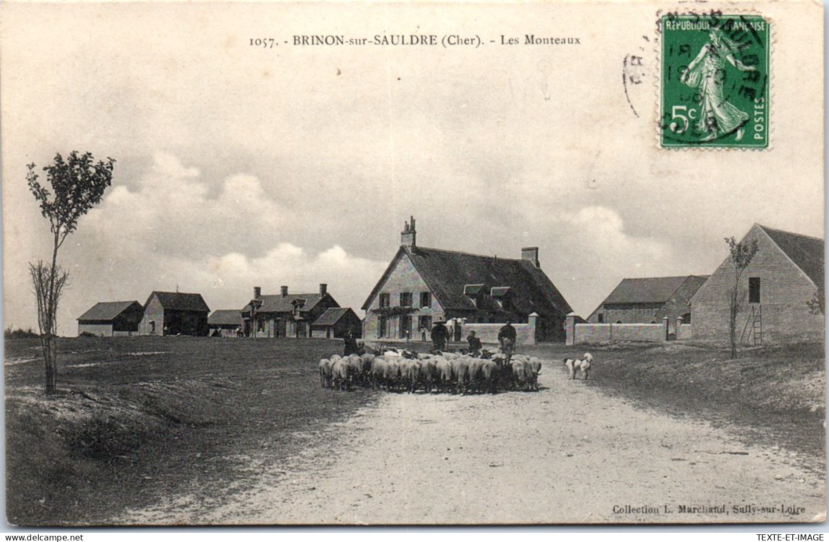 18 BRINON SUR SAULDRE - Les Monteaux  - Brinon-sur-Sauldre