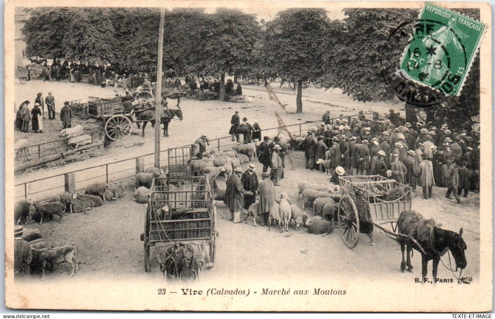 14 VIRE - Le Marche Aux Moutons  - Vire