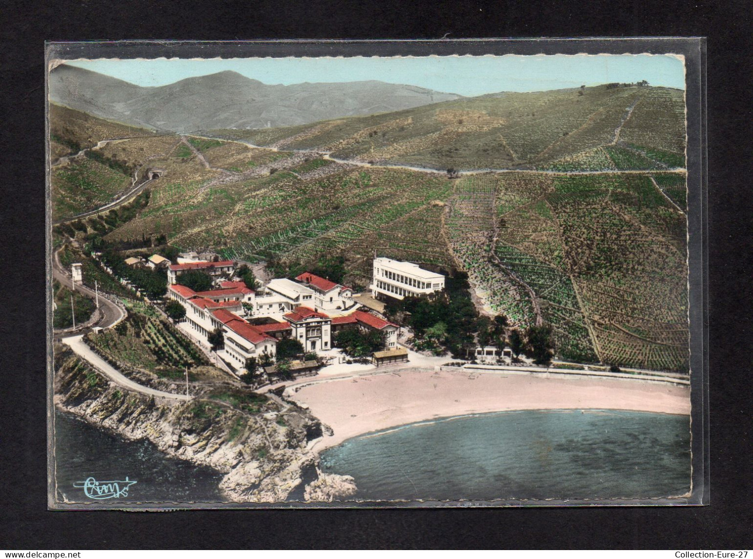 (06/05/24) 66-CPSM BANYULS SUR MER - Banyuls Sur Mer