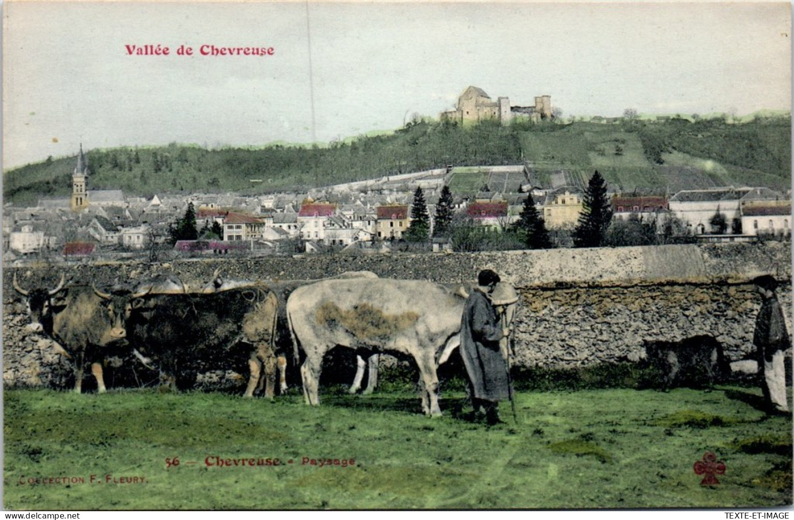 78 CHEVREUSE - Scene Champetre  - Chevreuse