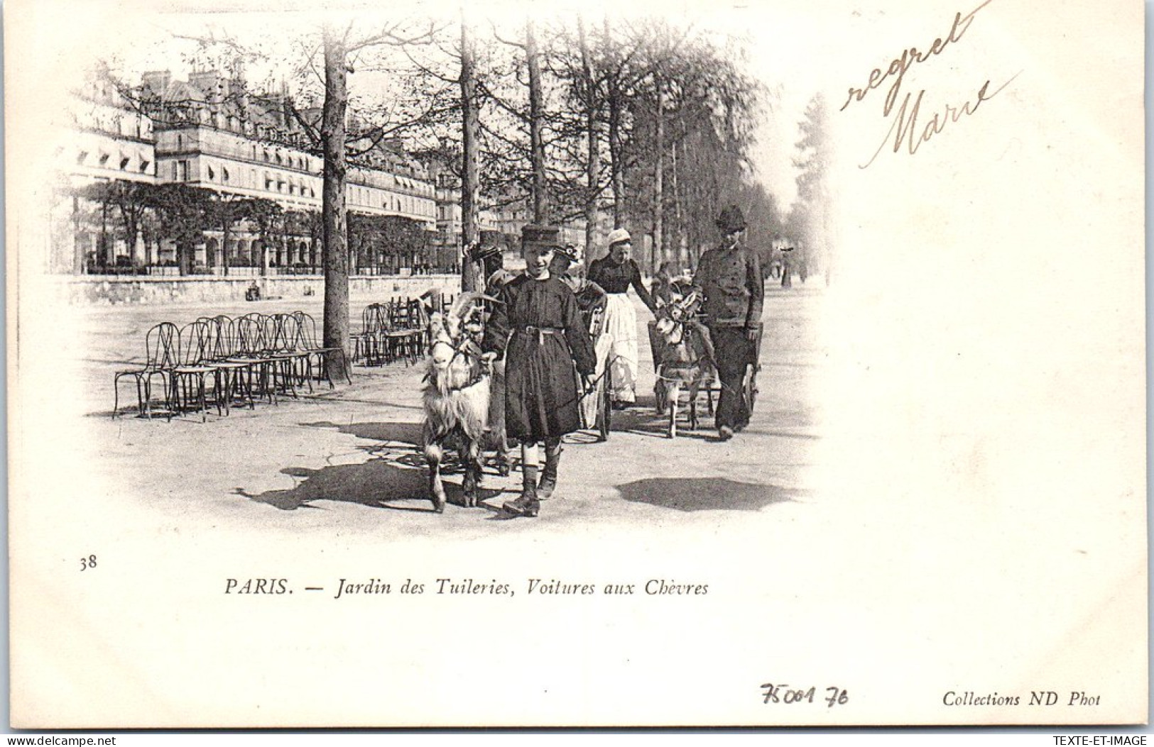 75001 PARIS - Jardin Des Tuileries, Voitures Aux Chevres. - Paris (01)
