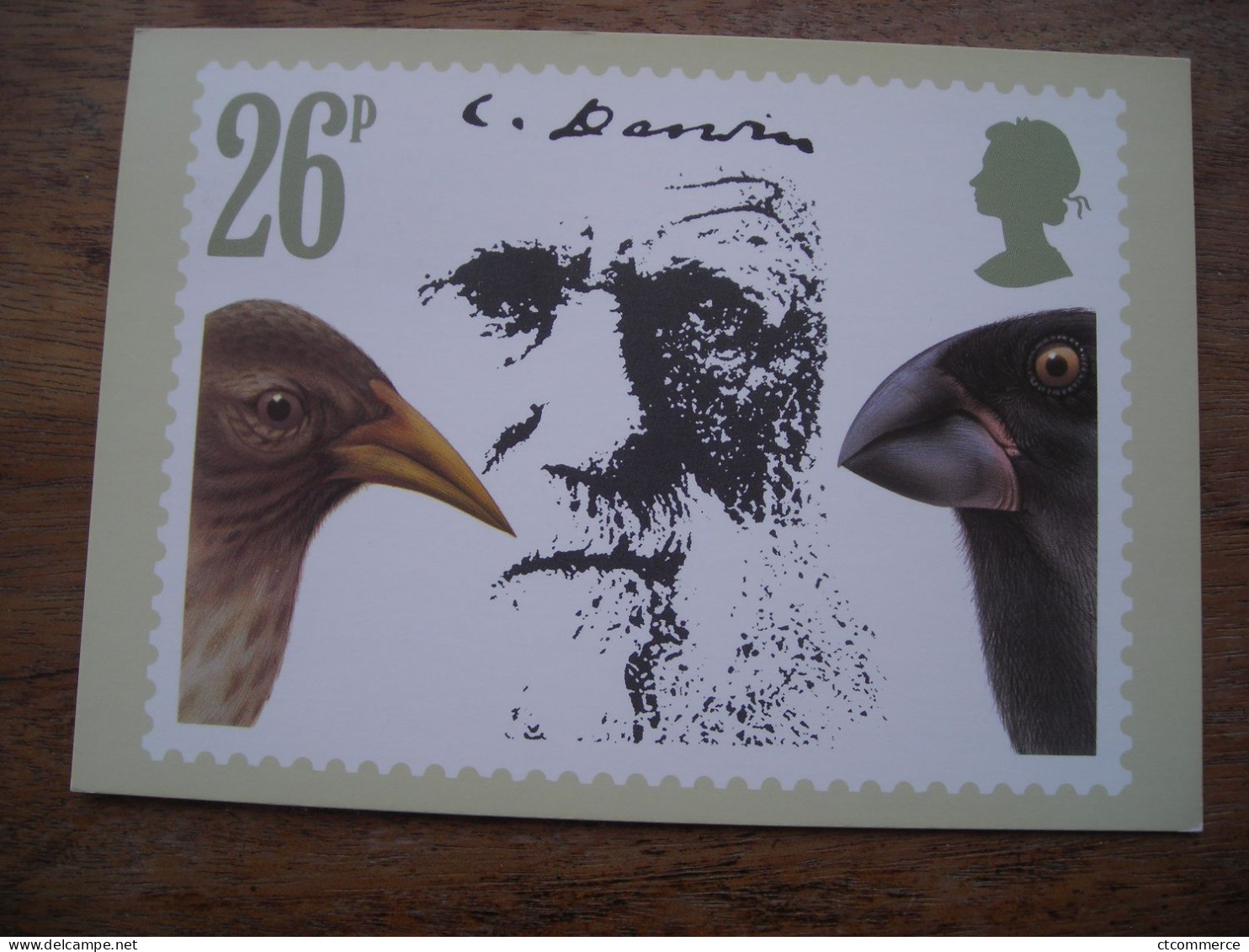 2 Cartes Postales, Premier Jour Charles Darwin Finches Pinsons, Iguanas - Carte PHQ