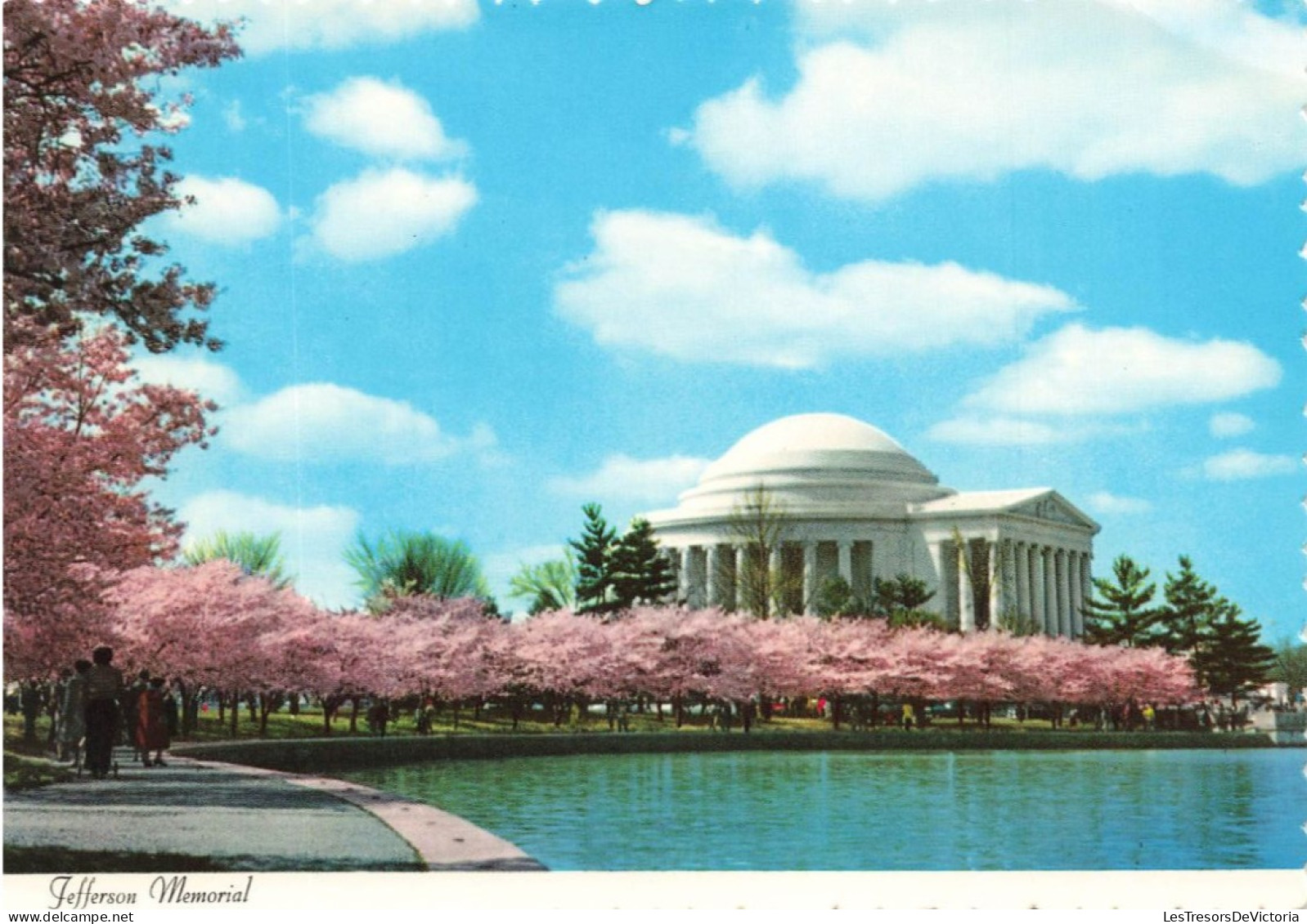 ETATS-UNIS - Jefferson Memorial Appears In Its Most Beautiful Stting Usually Early In April - Animé - Carte Postale - Washington DC