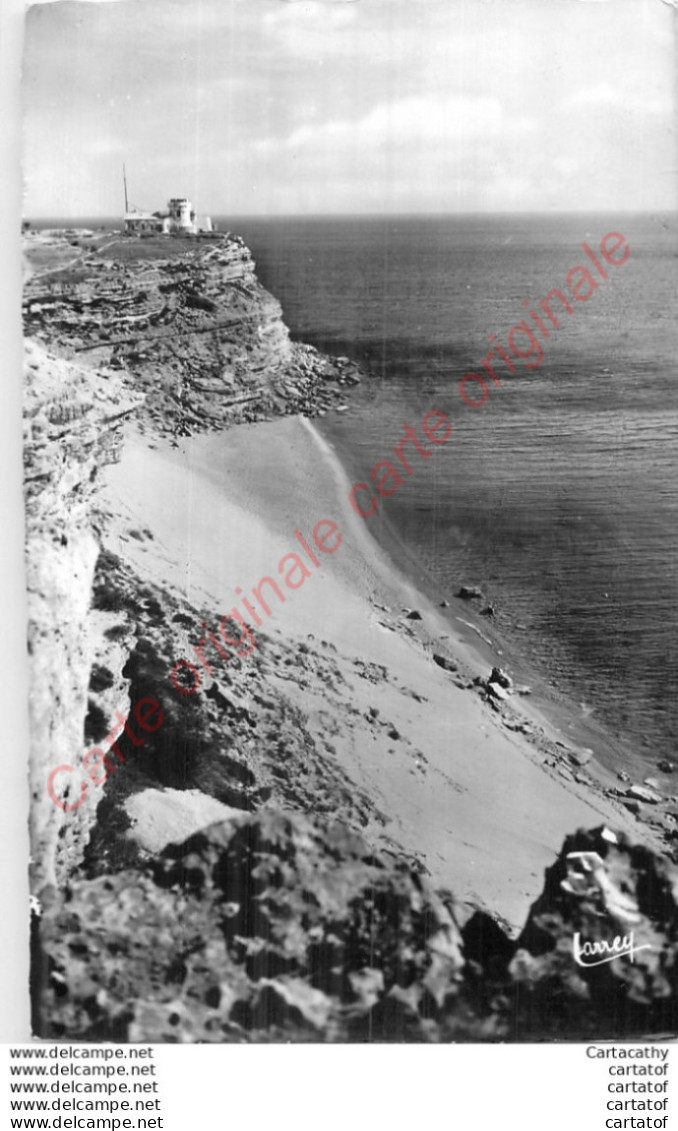 11.  LEUCATE PLAGE .  Le Sémaphore . La Plagette . - Leucate