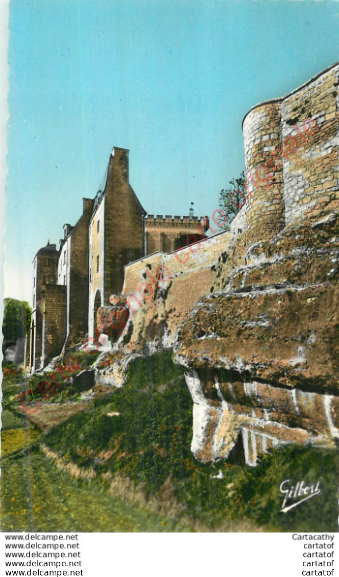 17.   PONS .  Les Remparts Et L'ancien Château Des SIRES De PONS . - Pons