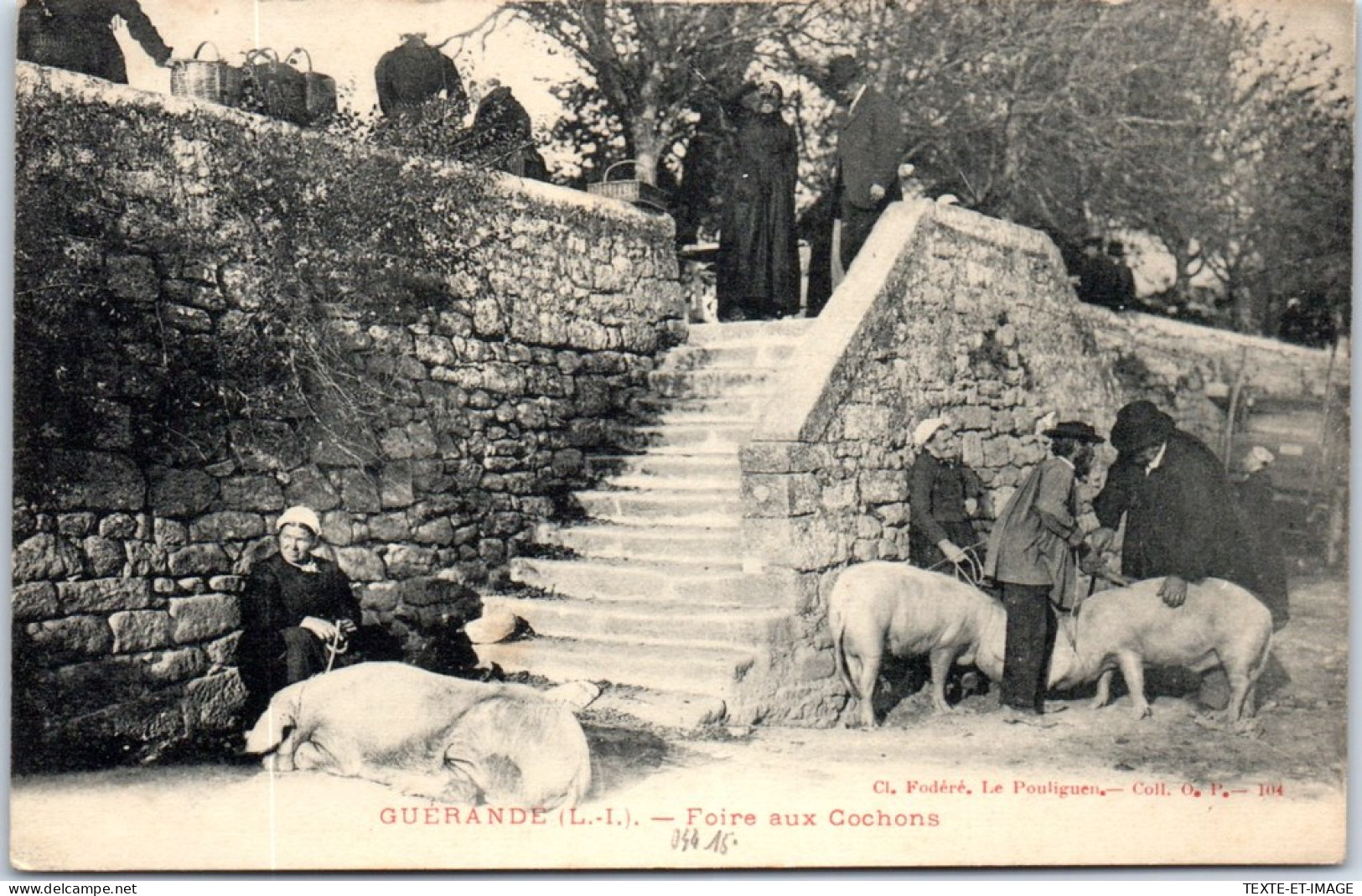 44 GUERANDE - La Foire Aux Cochons  - Guérande