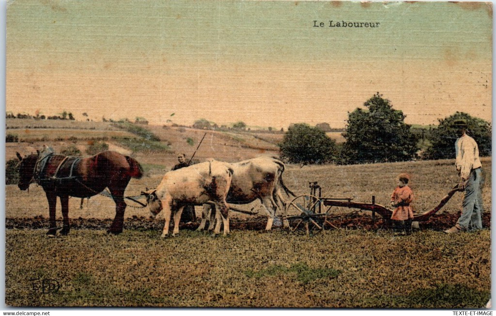 AGRICULTURE - Scene De Labour. - Sonstige & Ohne Zuordnung
