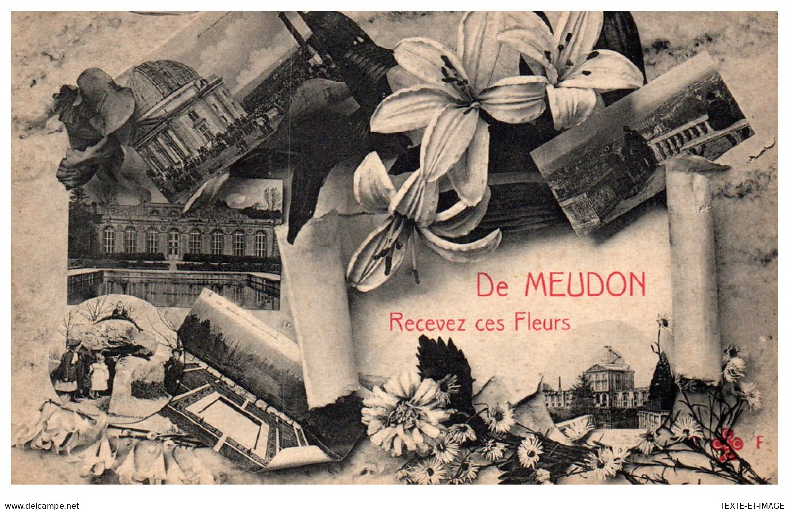 92 MEUDON - Recevez Ces Fleurs  - Meudon