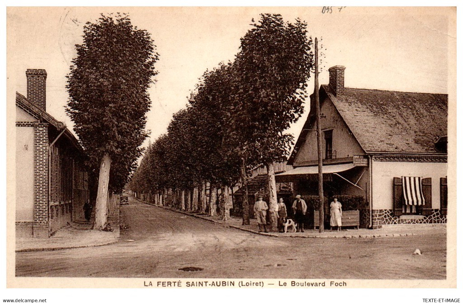 45 LA FERTE SAINT AUBIN - Le Boulevard Foch. - La Ferte Saint Aubin