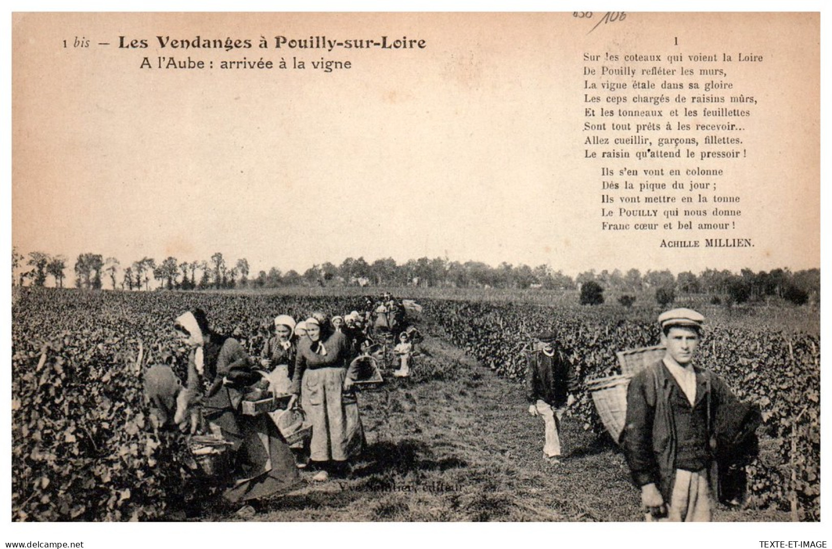 58 POUILLY SUR LOIRE - A L'aube, Arrivee A La Vigne. - Pouilly Sur Loire