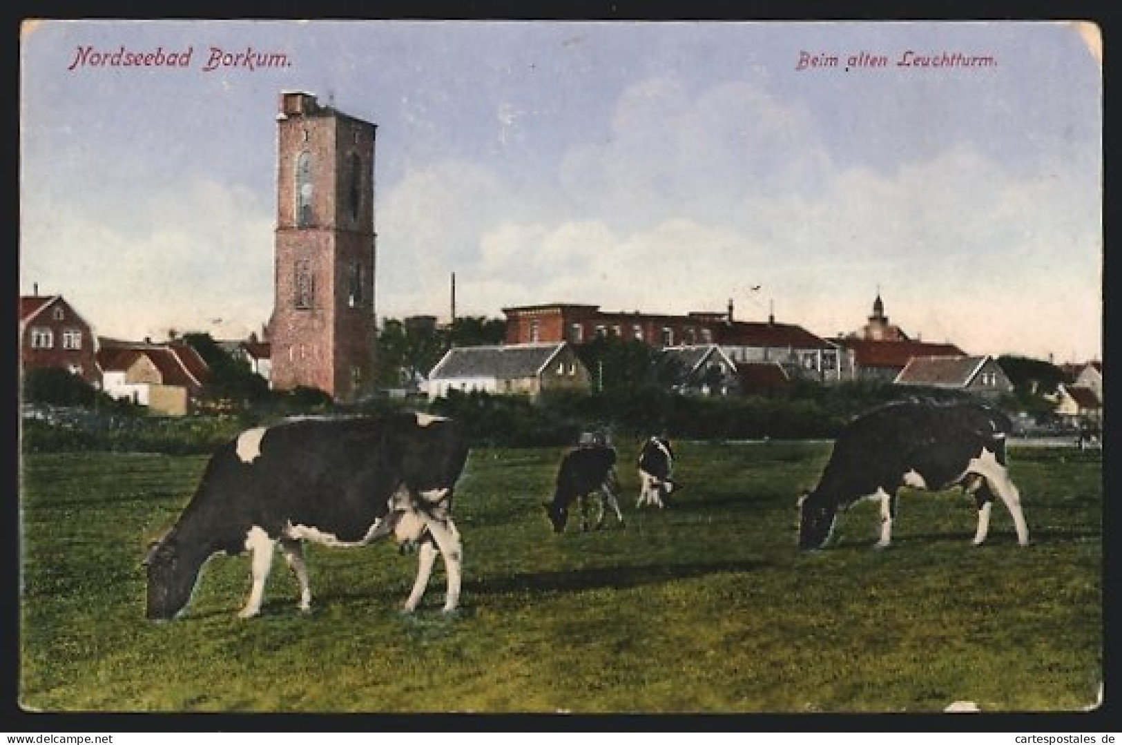 AK Borkum, Alter Leuchtturm Und Grasende Kühe  - Borkum