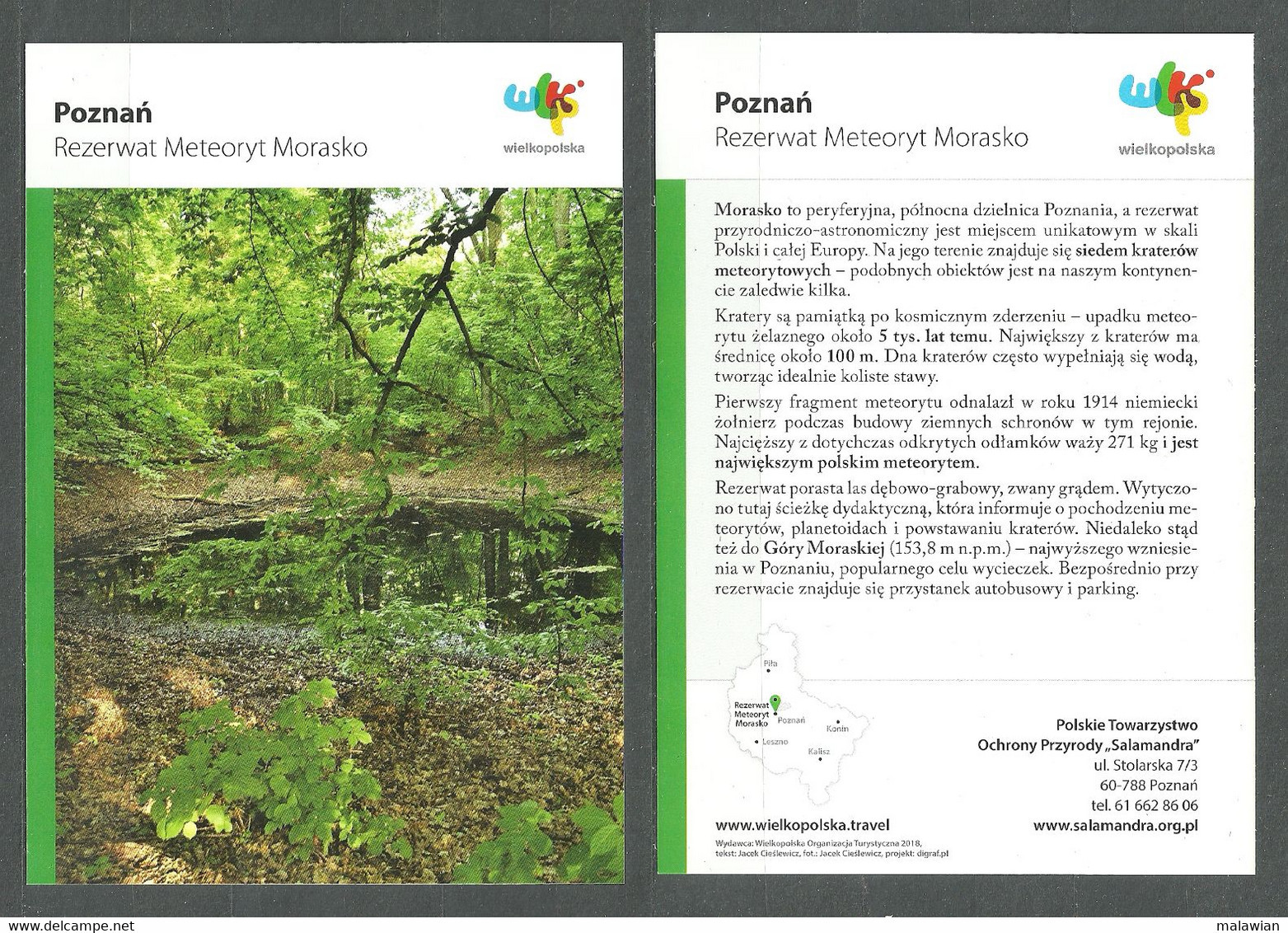 Wp Poland, Poznań B, Craters Meteorite Reserve Nature Forest Trees Krater Meteoritenreservat Naturwaldbäume Water Ponds - Katastrophen