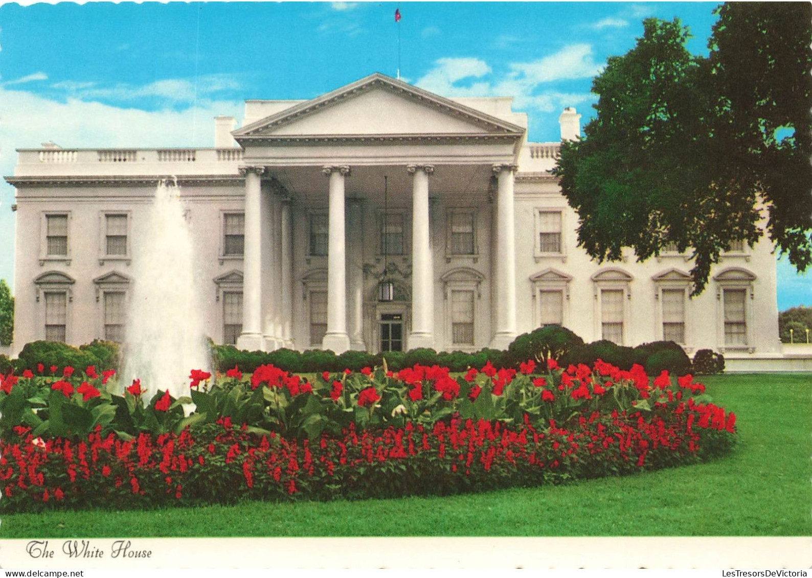 ETATS-UNIS - The White House - All Of Our Presidents - Except Wshington - Have Lived Here - Carte Postale - Washington DC