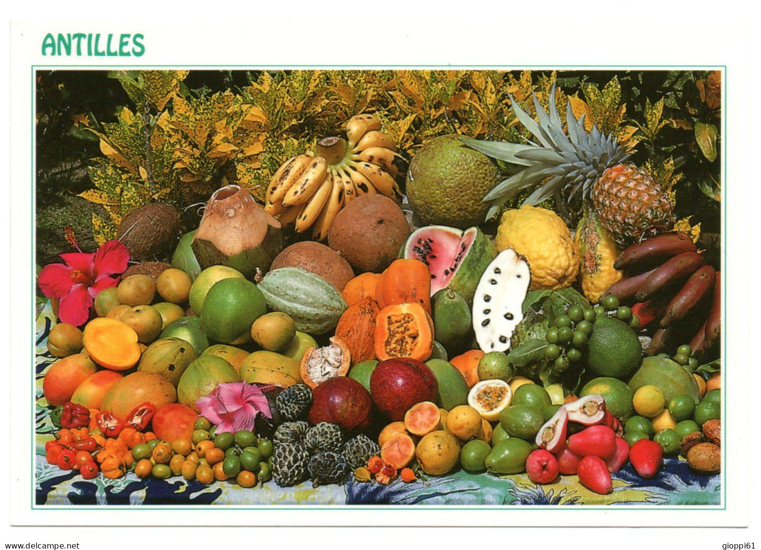 Antille, Frutti Tipici - America