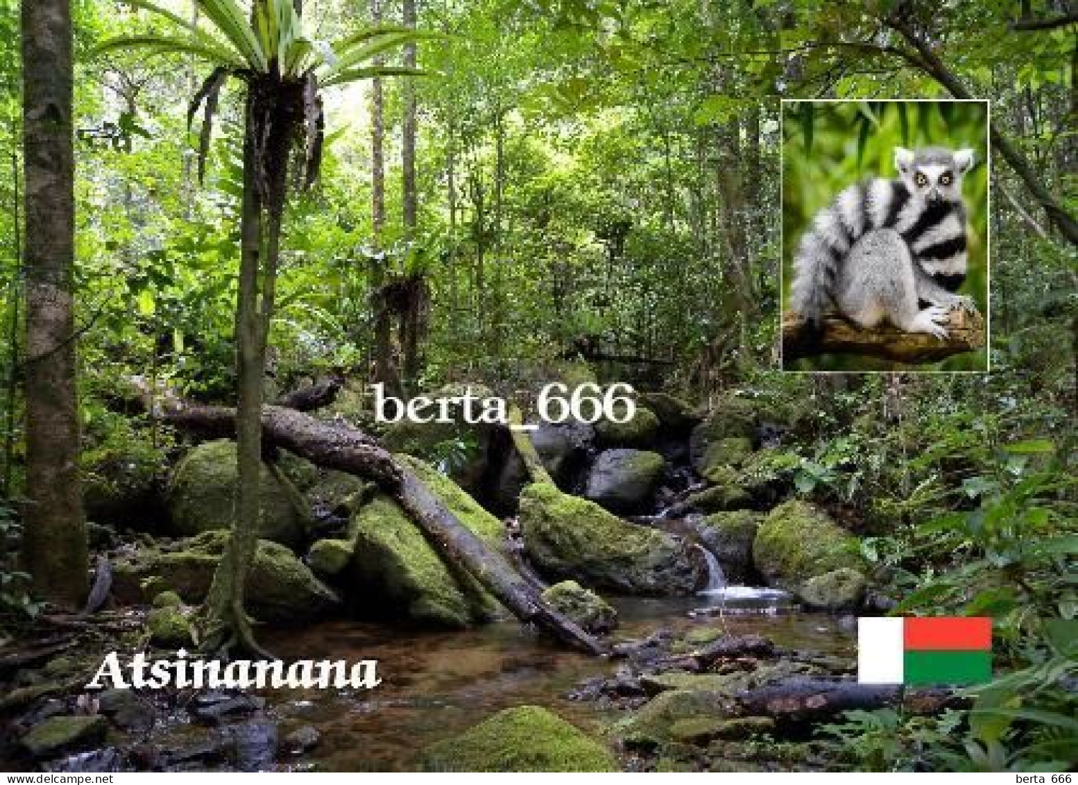 Madagascar Atsinanana Rainforest UNESCO New Postcard - Madagaskar
