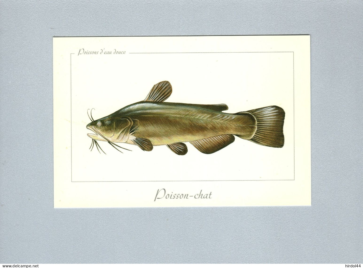 Poissons - Fish & Shellfish