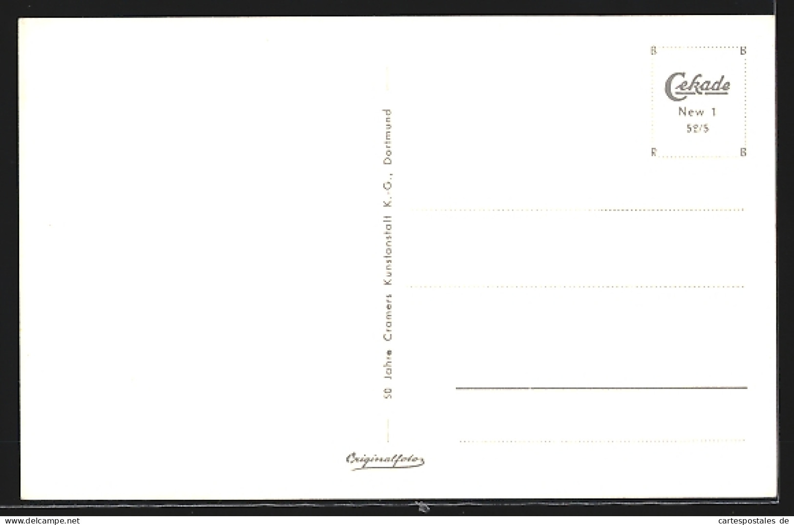 AK Neuwied A. Rh., Carmen Sylva-Garten Aus Der Vogelschau  - Neuwied