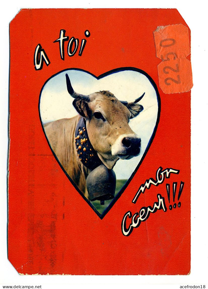 VACHE - à Toi Mon Cœur - Cows