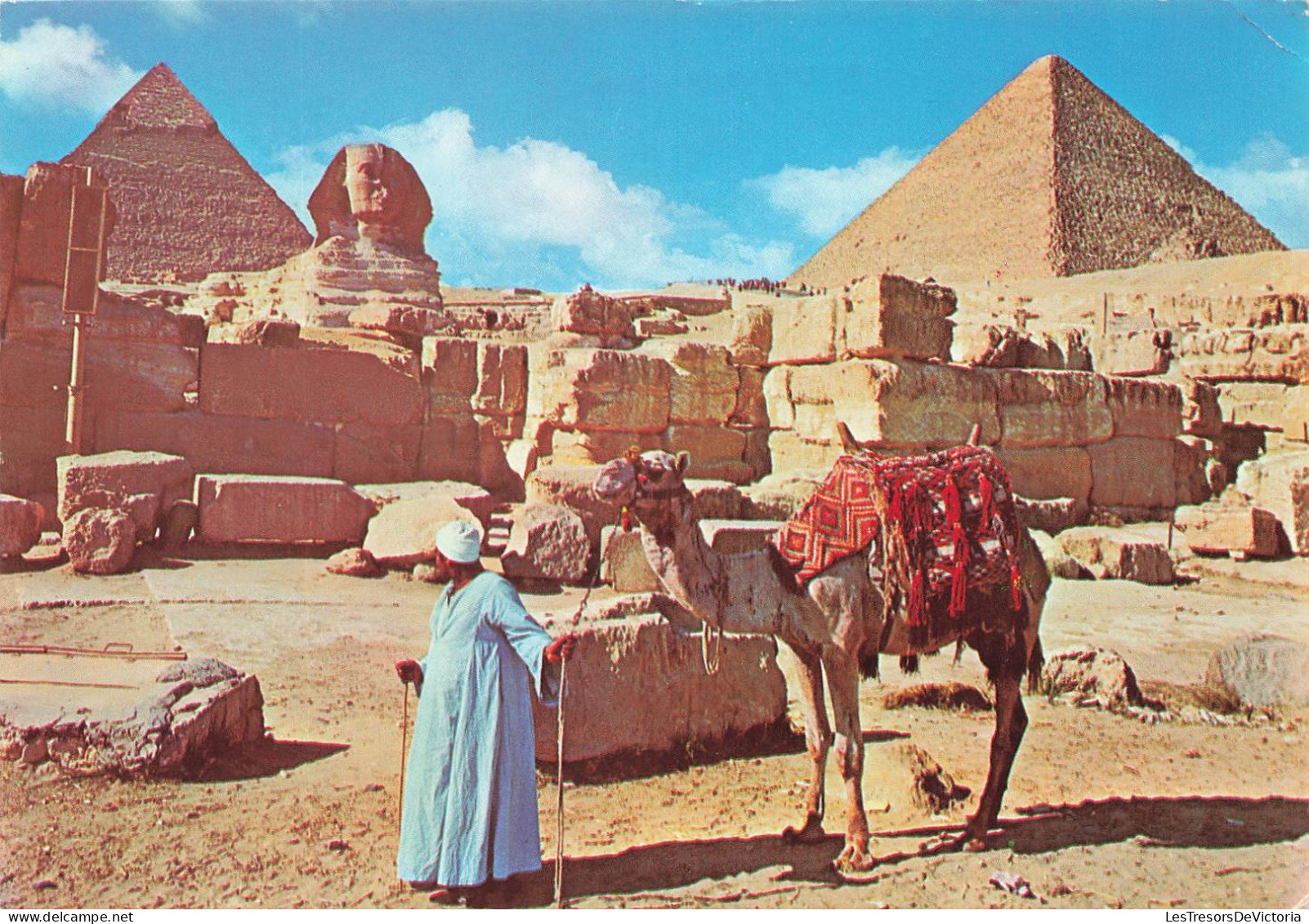 EGYPTE - Giza - The Great Sphinx And Keops Pyramid - Dromadaire - Homme - Animé - Carte Postale - Gizeh