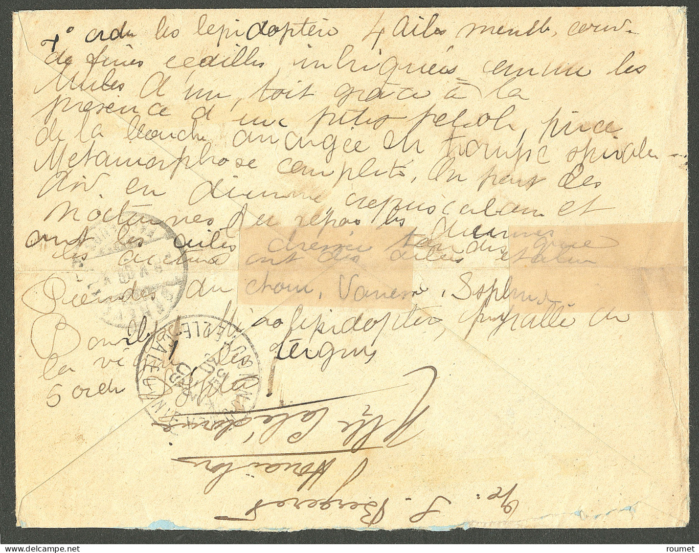 Lettre Cad Bleu "Nlle Calédonie/Houailou". Nos 41(5) + 59(4) Sur Enveloppe Pour Genève, 1909. - TB - Other & Unclassified