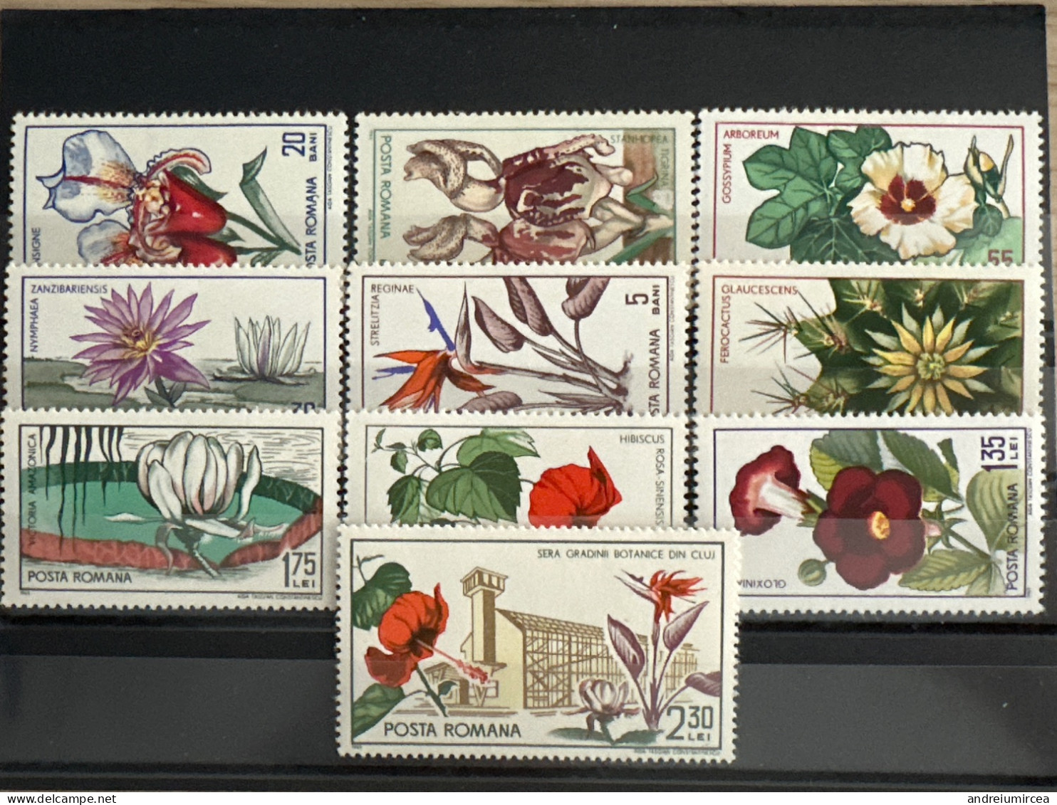 România MNH 1965 Flowers From Botanical Garden - Andere & Zonder Classificatie