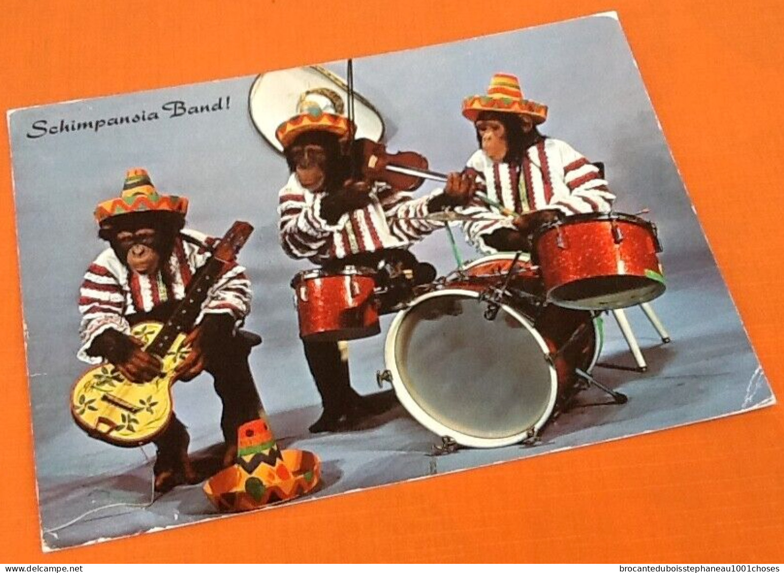 Zurich (Suisse)  Schimpansia Band !   (1974)   N° 35551 Photoglob AG Zürich - Zürich
