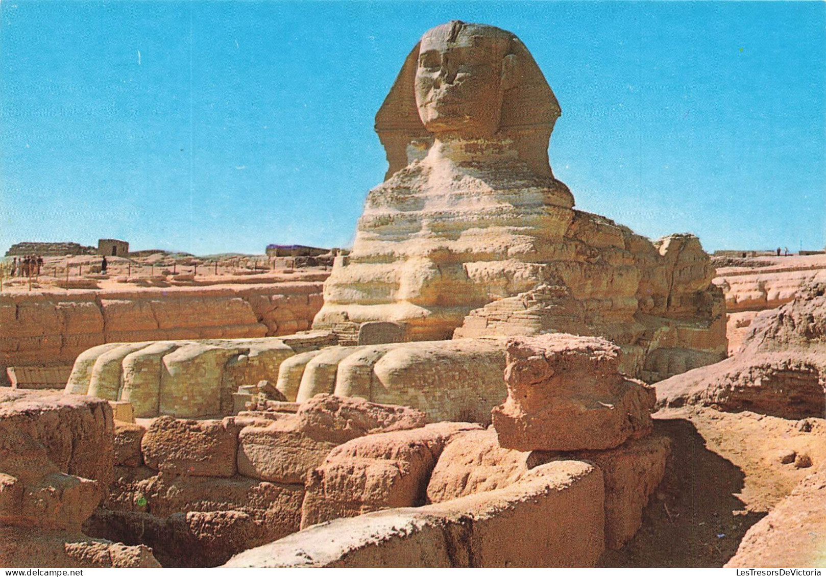 EGYPTE - Giza - The Sphinx - Vue Générale  - Carte Postale - Gizeh
