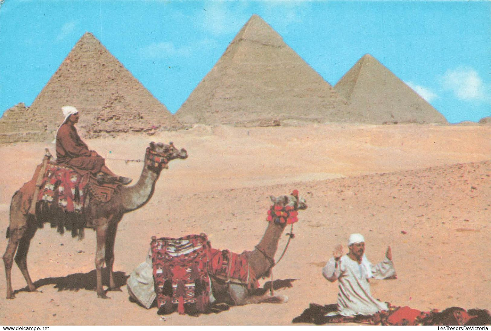 EGYPTE - Giza - La Prière Près Des Pyramides - Animé - Dromadaires - Pyramides - Carte Postale - Guiza