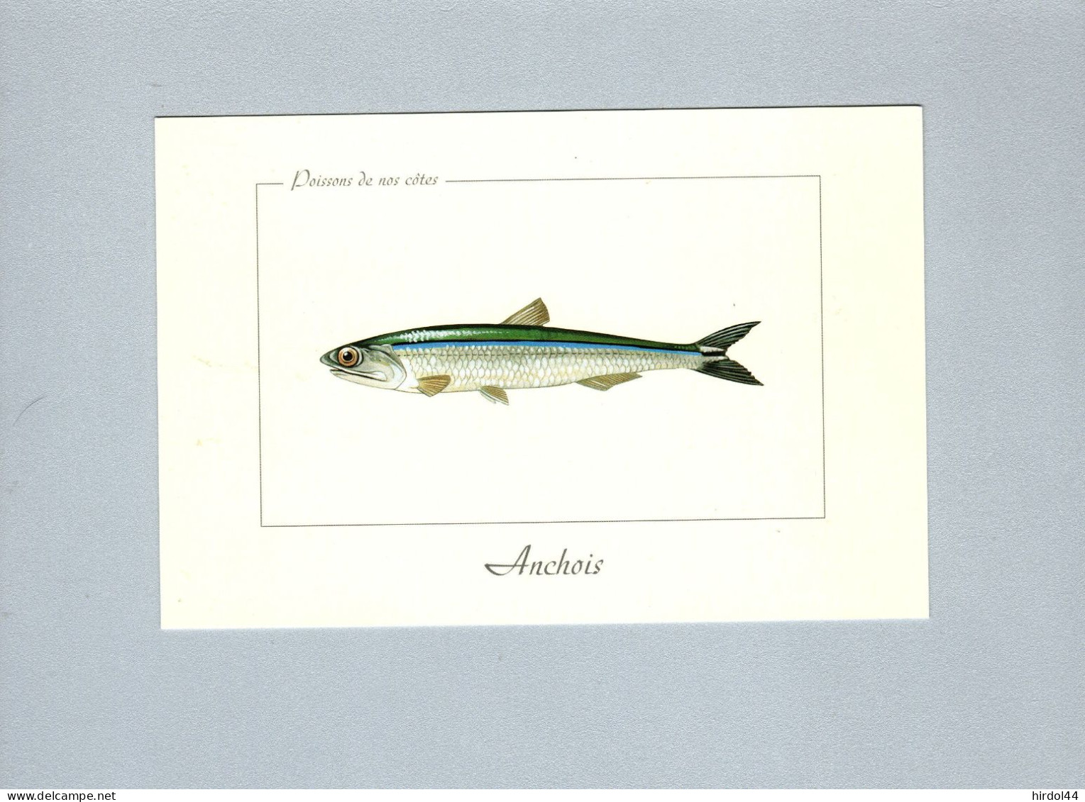 Poissons - Fische Und Schaltiere