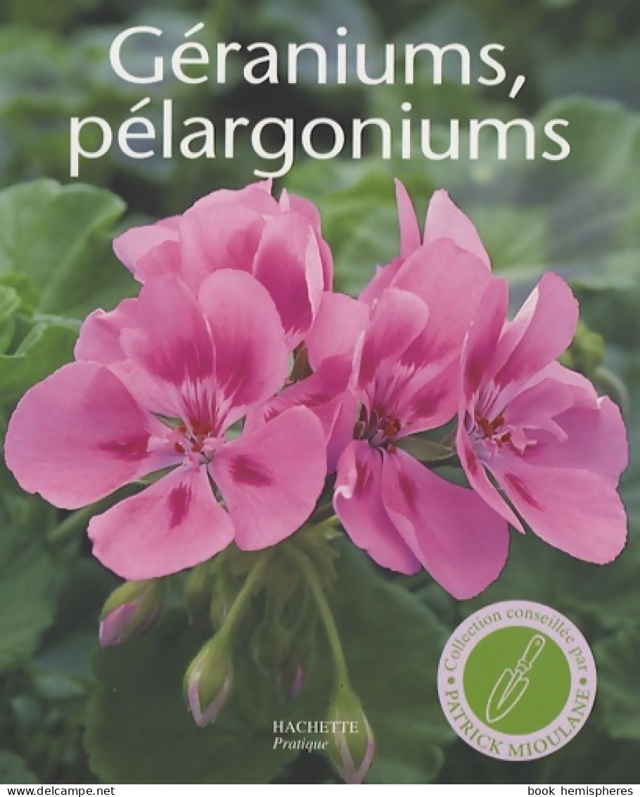 Géraniums Pélargoniums : Les Conseils D'un Spécialiste Pour L'achat La Culture Et La Multiplication (2008 - Jardinage