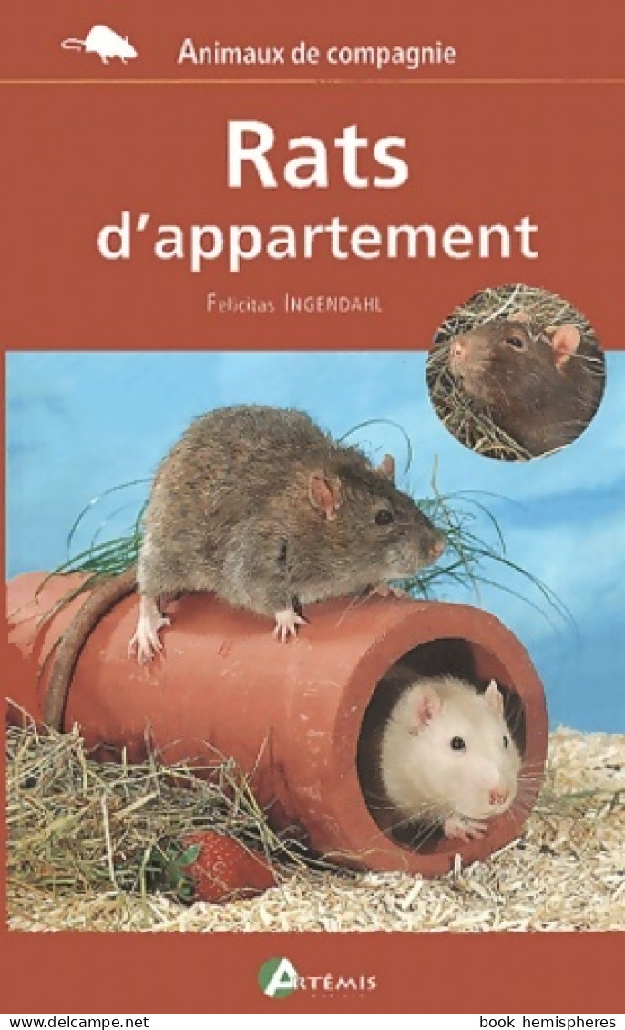 Rats D'appartement (2001) De F. Ingendail - Dieren