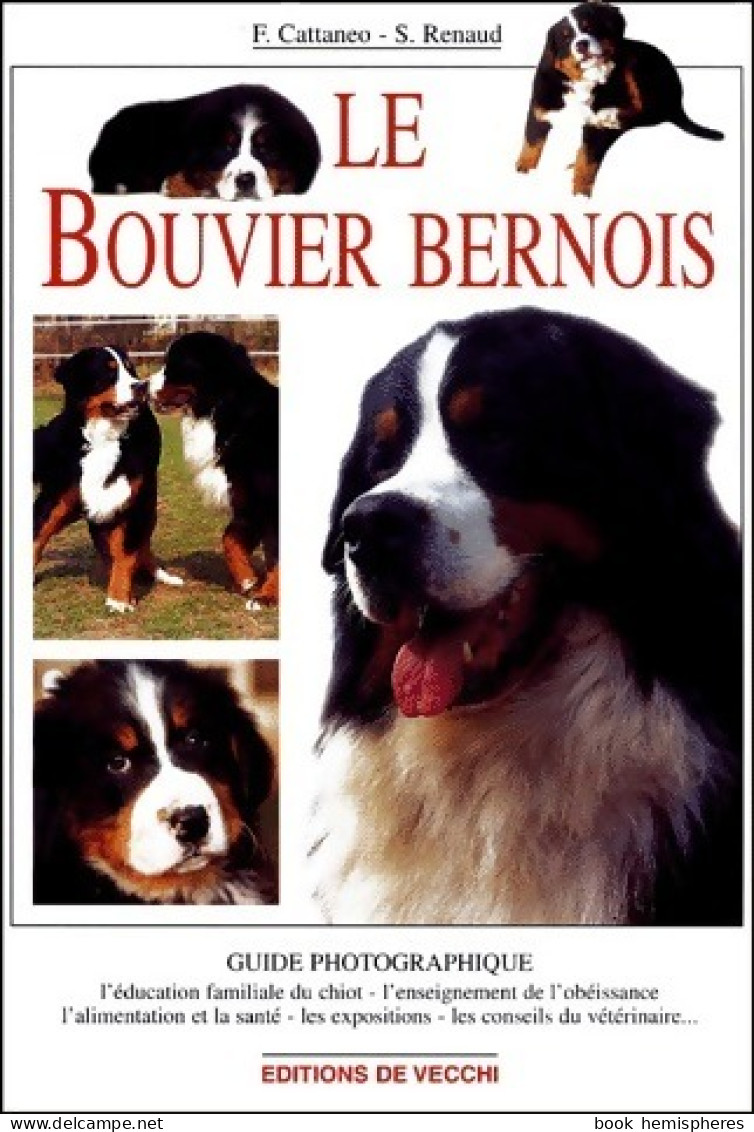 Le Bouvier Bernois (2002) De Sylvie Rainaud - Animaux