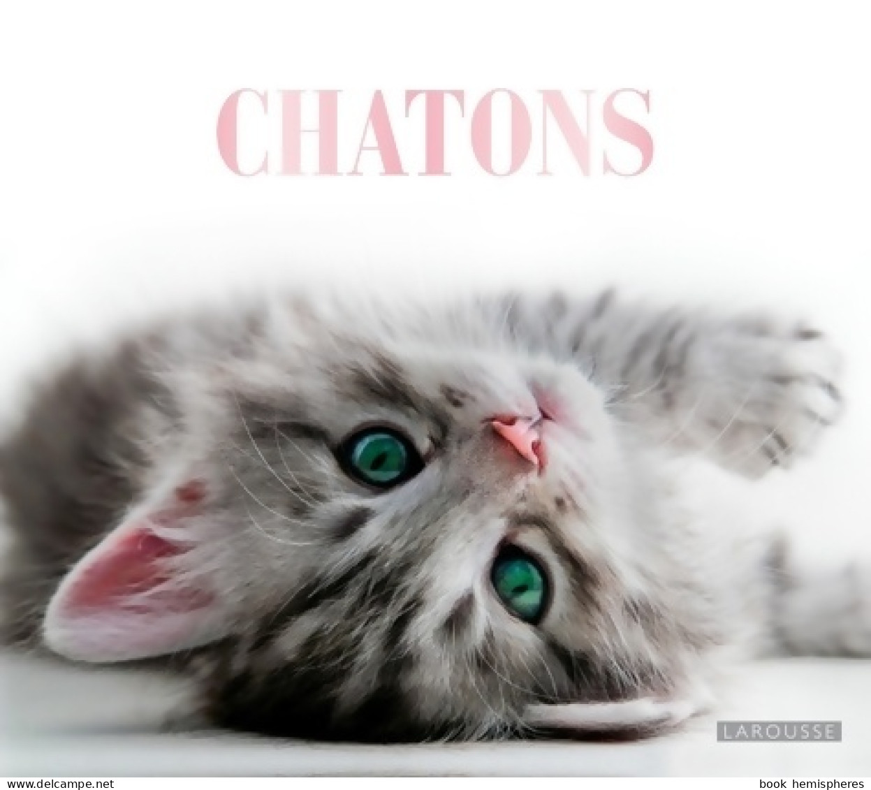 Chatons (0) De Collectif - Animaux