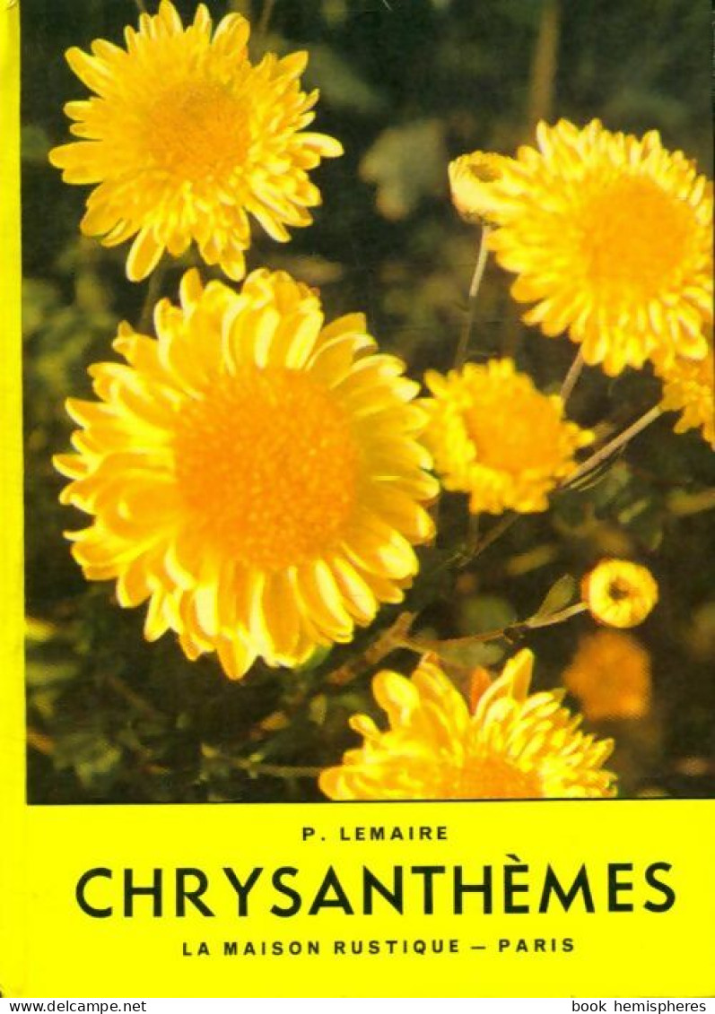 Chrysanthèmes (1960) De P. Lemaire - Natur