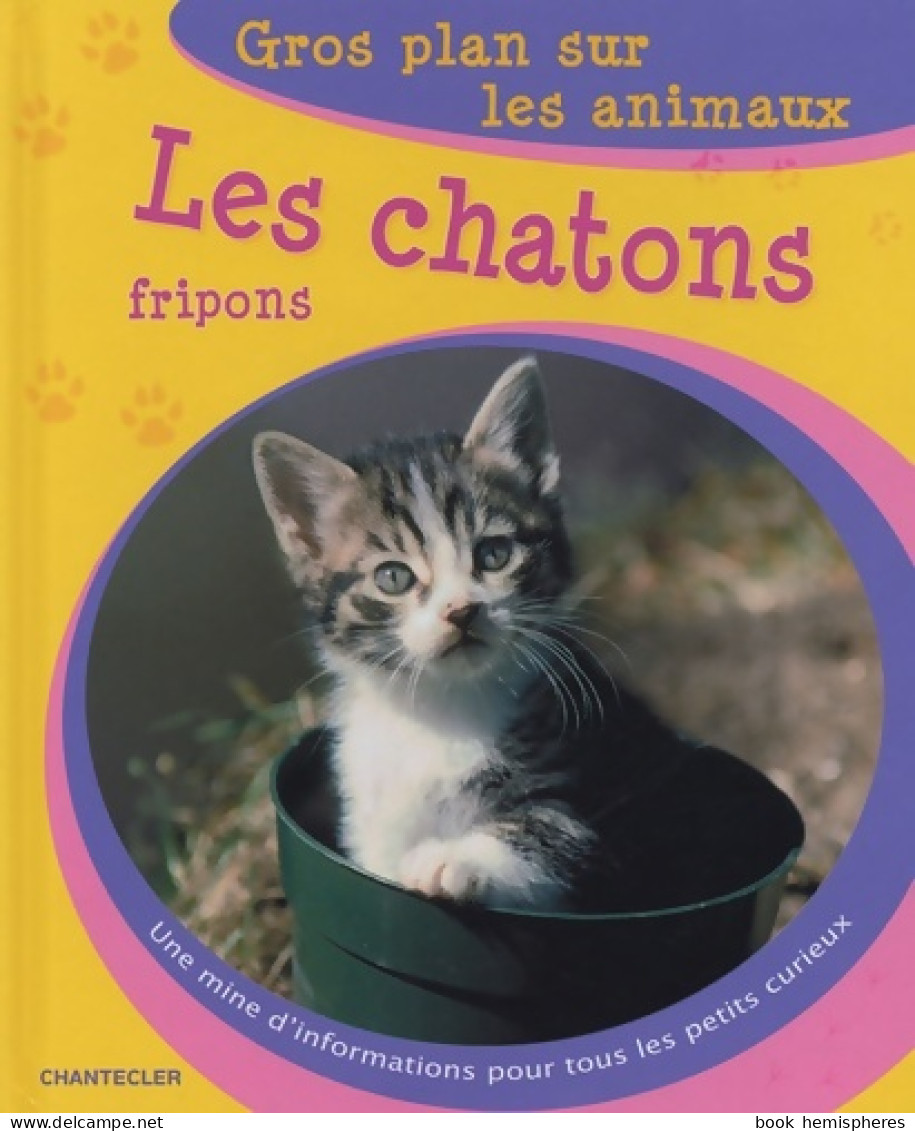 Les Chatons Fripons (2005) De Wan-Ling Sun - Tiere