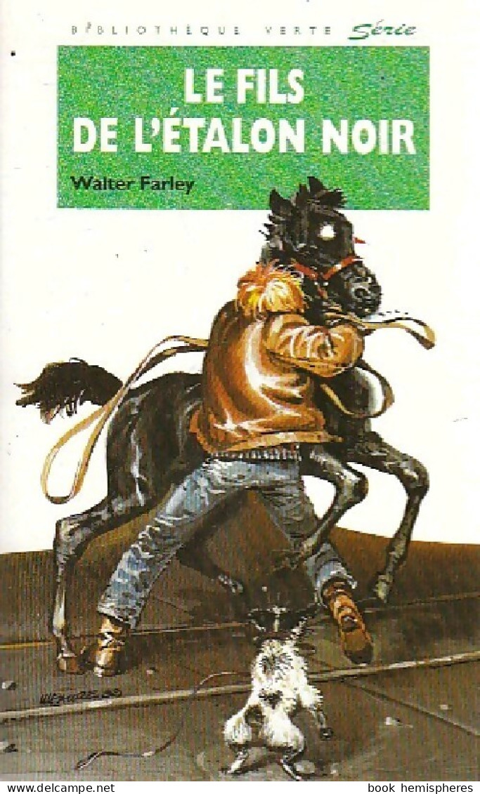 Le Fils De L'étalon Noir (1994) De Walter Farley - Sonstige & Ohne Zuordnung