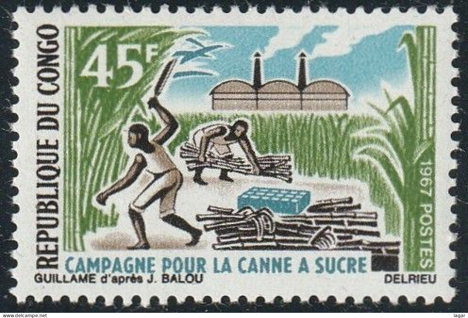 THEMATIQUE AGRICULTURE:  CAMPAGNE POUR LA CANNE A' SUCRE   -    CONGO - Agriculture