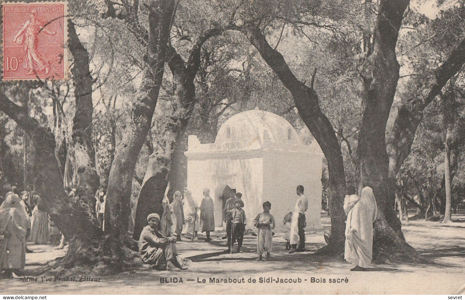 BLIDA -   Le Marabout Sidi Jacoub  Bois Sacré - Blida