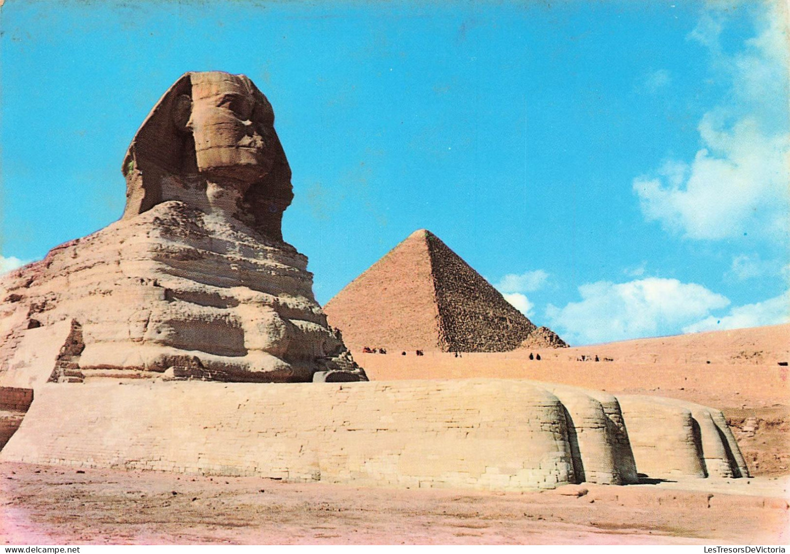EGYPTE - Giza - The Sphinx And The Pyramid Of Cheops - Vue Générale - Carte Postale - Gizeh