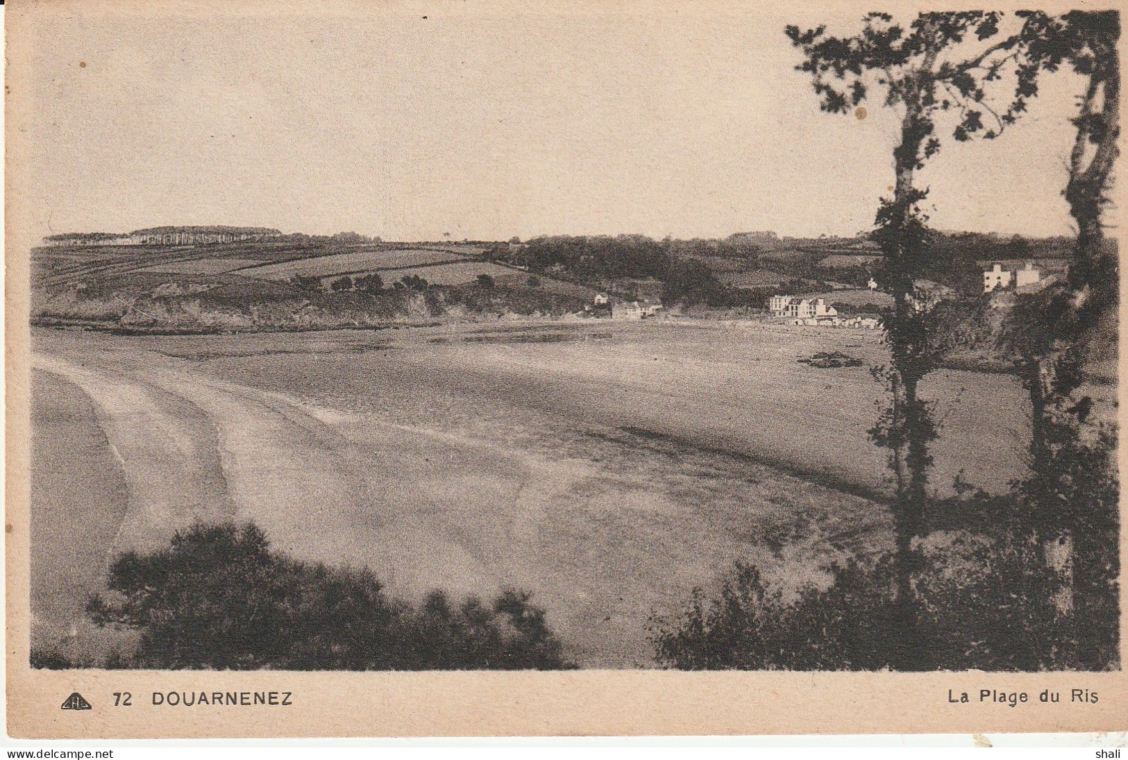 CPA DOUARNENEZ LA PLAGE DU RIS - Douarnenez