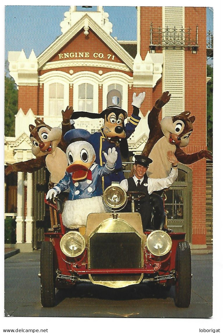 WALT DISNEY WORLD.- FLORIDA.- ( ESTADOS UNIDOS ) - Orlando