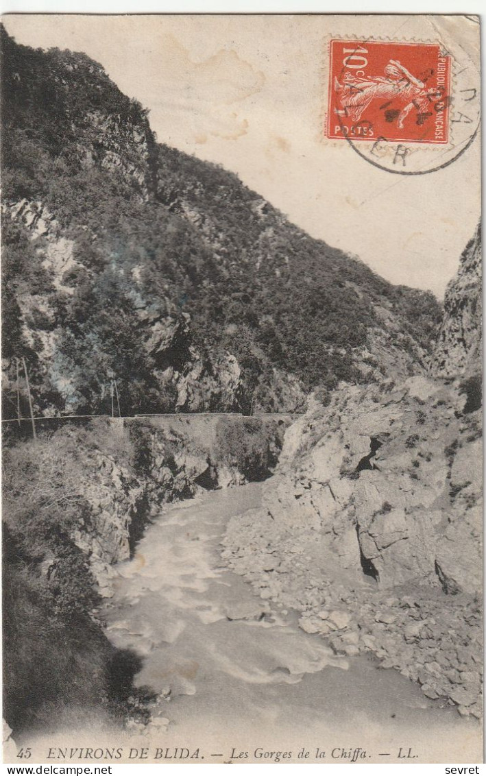 BLIDA - Les   Gorges De La Chiffa - - Blida